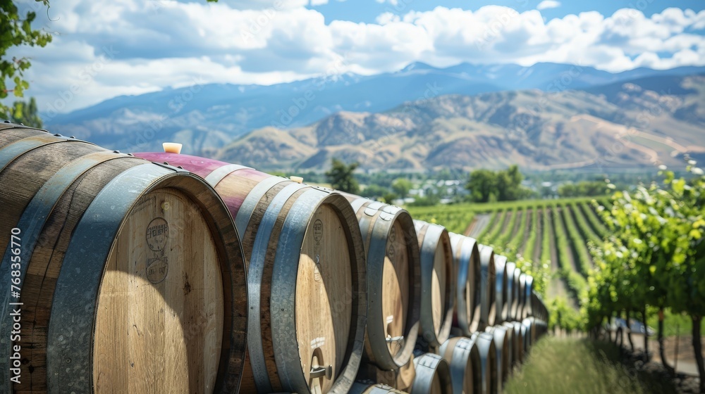 Row of oak barrels with wine near vineyard plantation and hills in the background Row of oak barrels with wine near vineyard plantation and hills in the background