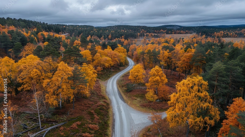 Autumn Drive: Scenic Road Through Sweden's Fall Foliage
