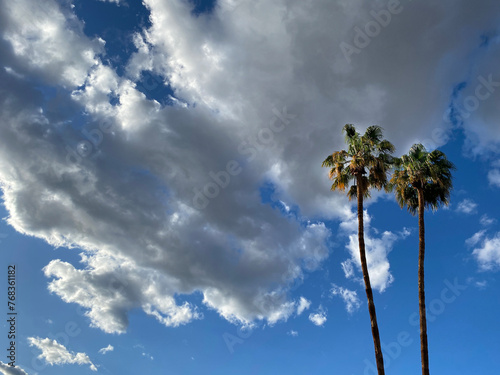 Cloudy Sky with Two Palms