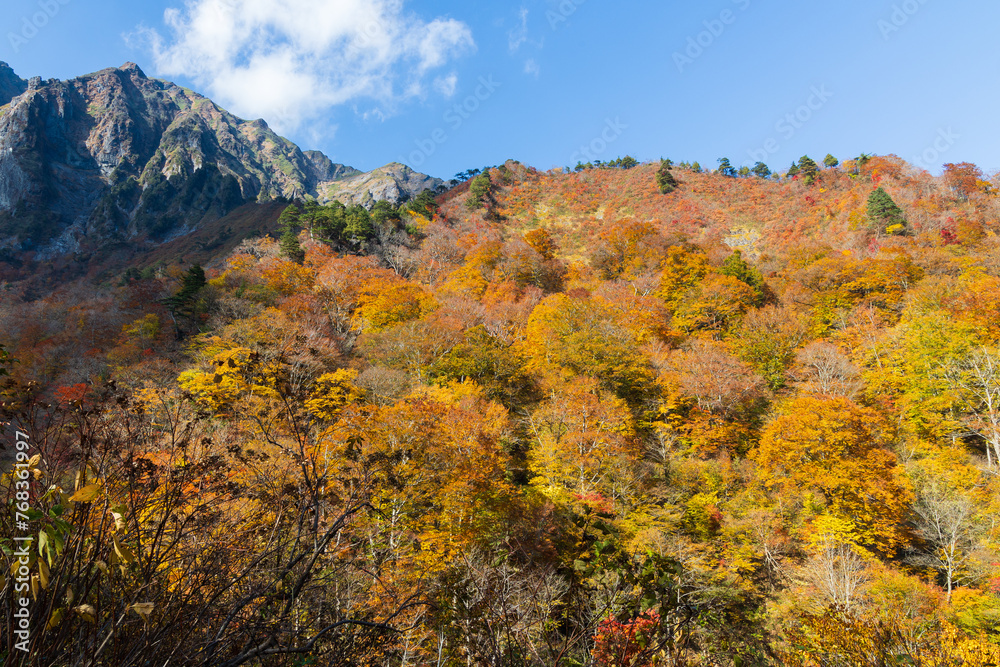 日本の風景・秋　紅葉の谷川岳　一ノ倉沢
