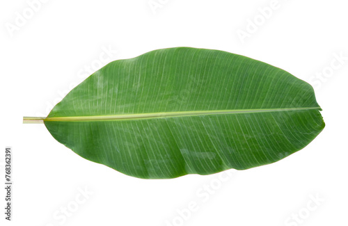 banana leaf isolated on white