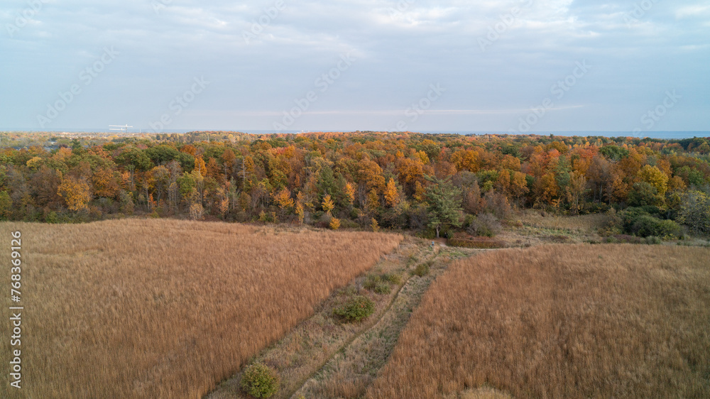 An aerial shot of a wheat farm field by a forest in the fall