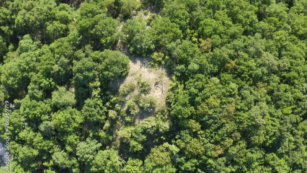 Overhead View Of Trees At Thracian Tomb In Summer In Mezek, Bulgaria. - aerial spin shot Overhead View Of Trees At Thracian Tomb In Summer In Mezek, Bulgaria. - aerial spin shot