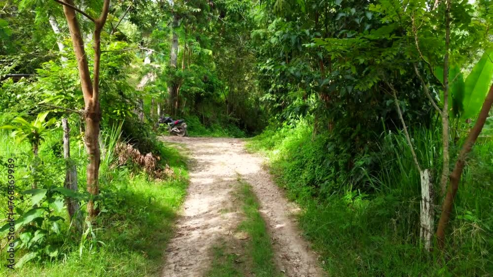 As the drone glides effortlessly along the path, shafts of sunlight pierce through the dense foliage, casting ethereal patterns of light and shadow below. Pitch backward As the drone glides effortlessly along the path, shafts of sunlight pierce through the dense foliage, casting ethereal patterns of light and shadow below. Pitch backward