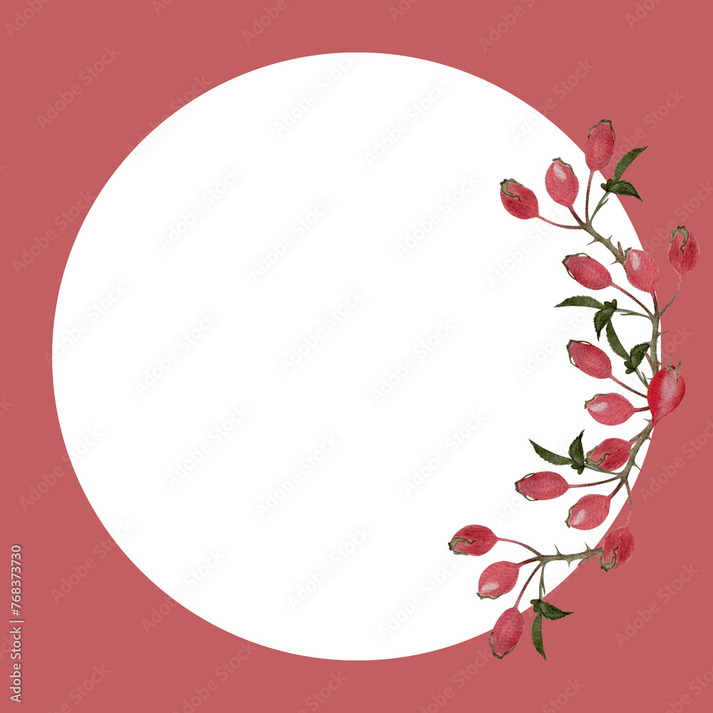 Fototapeta premium Rose hip sprig watercolor round pink frame isolated on white