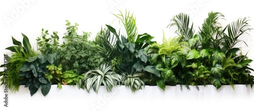 Close-up view of a line of green plants displayed on a vertical surface like a wall, adding a natural touch to the environment