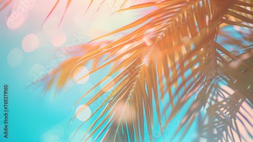 Sun flare filters through tropical palm leaves, creating a warm, inviting summer atmosphere.