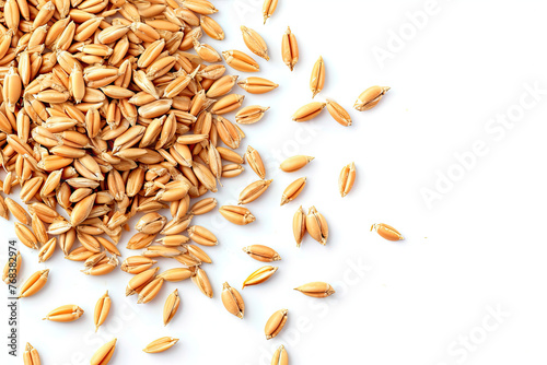 wheat grains on white background photo
