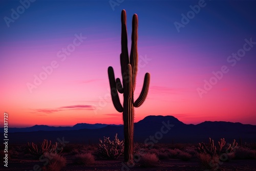 Cactus at sunset, A stark silhouette of a cactus against the backdrop of a clear twilight sky, the beauty of the desert at dusk