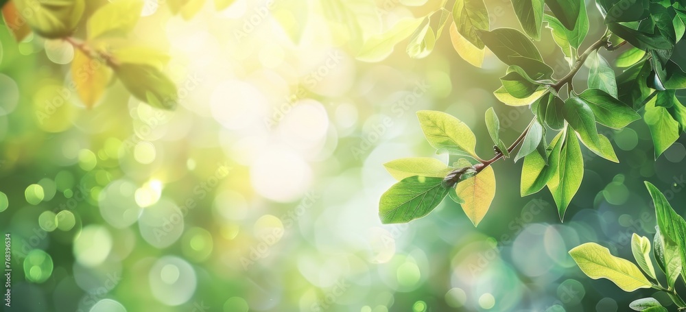 Spring background with green leaves and blurred nature background Spring background with green leaves and blurred nature background