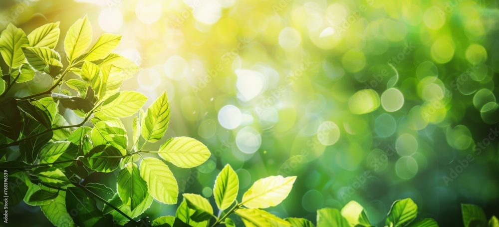 Spring background with green leaves and blurred nature background Spring background with green leaves and blurred nature background