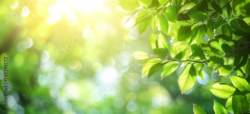 Spring background with green leaves and blurred nature background © wanna