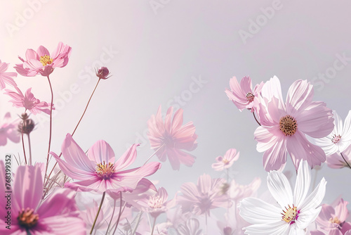 The flowers in the foreground are a mix of pink and white, with some appearing to be a shade of lavender.