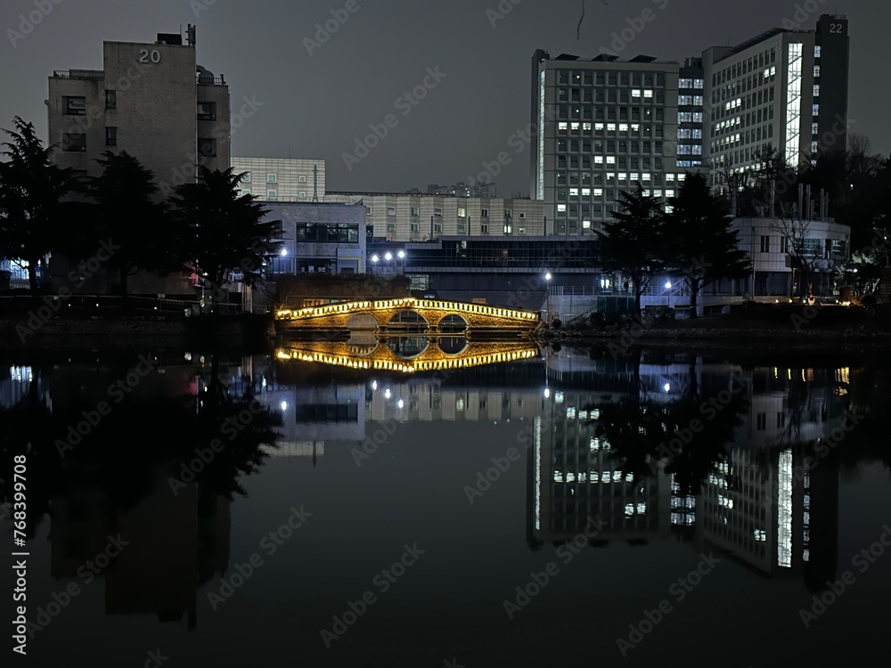 Fototapeta premium korea night city beautiful bridge background