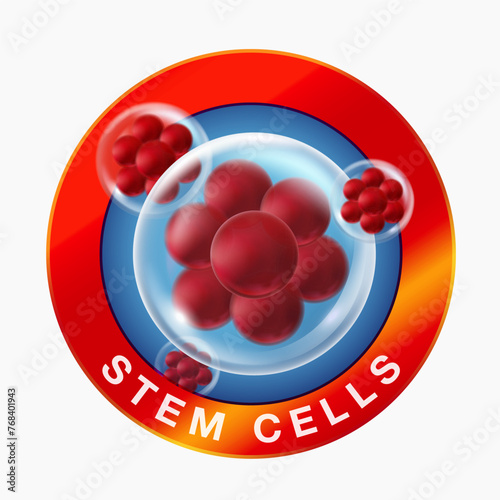 Human stem cells and living organisms can develop into many types of cells. Medical message concept on label or sticker. Vector illustration file.