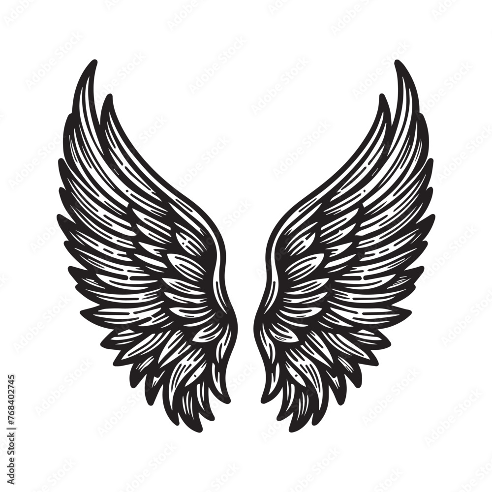 Fototapeta premium Angel wing vector illustration in black and white 
