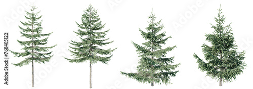 Set of Spruce green tree isolated on transparent background 3d PNG © Chayanee