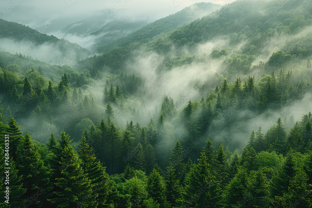 A panoramic view of mist-covered mountains and dense forests, capturing the serene beauty of nature's tranquility. Created with Ai