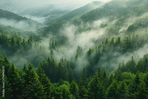 A panoramic view of mist-covered mountains and dense forests, capturing the serene beauty of nature's tranquility. Created with Ai © Design