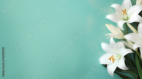 Lily flowers in bloom with ample space for text