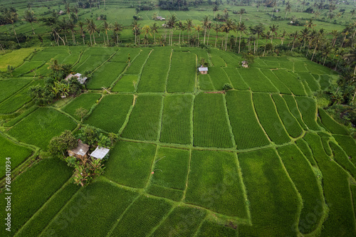 Scenic paddy ricefiled terraces in rural part of Bali island, Karangasem district. photo