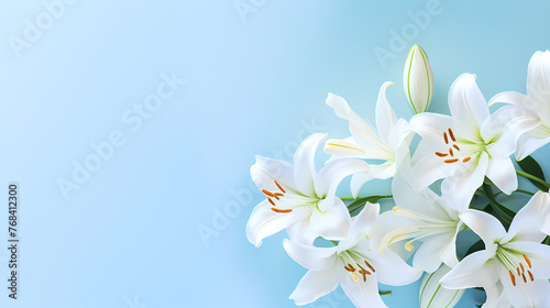 Lily flowers in bloom with ample space for text