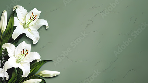 Top view of beautiful lilies blooming on plain background