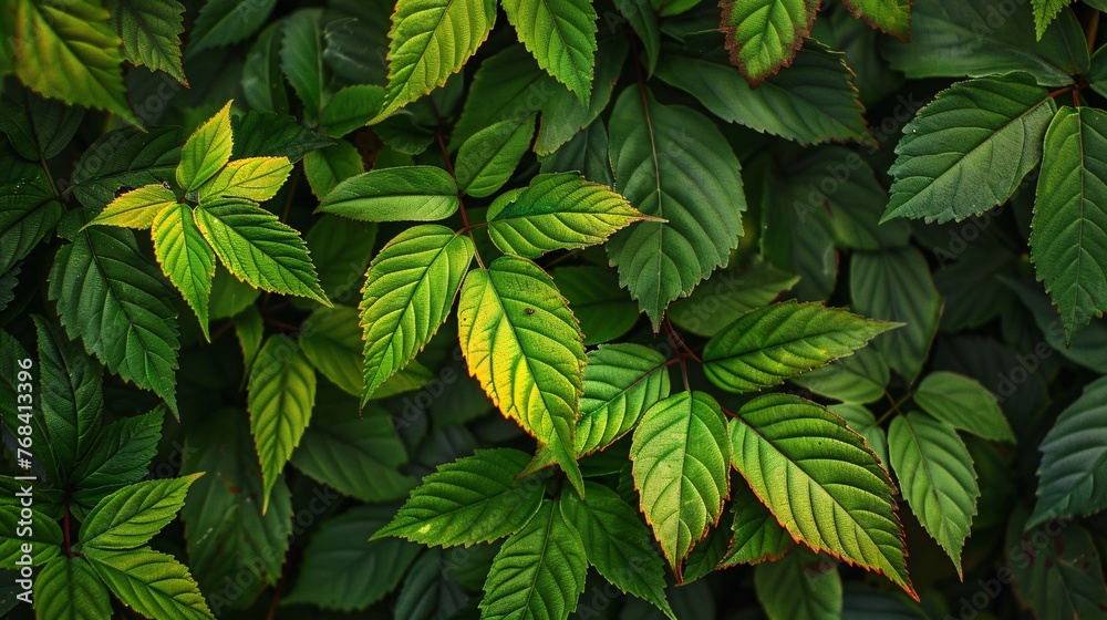 Fall Foliage: A Vibrant Display of Leaves Generative AI Fall Foliage: A Vibrant Display of Leaves Generative AI