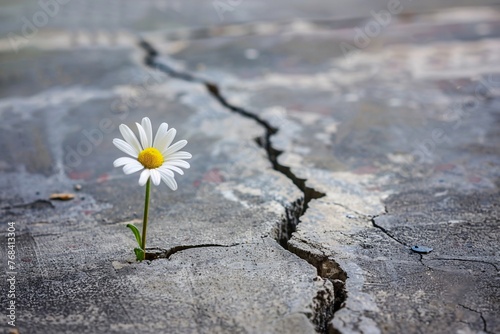 Flower Power: A Dandelion's Struggle to Survive in a Cracked Concrete World Generative AI