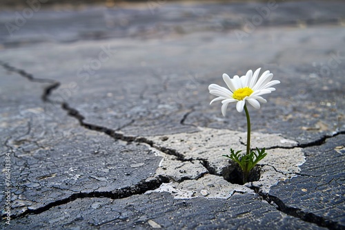 Flower Power: A Dandelion's Struggle to Survive in a Cracked Concrete World Generative AI © Bipul Kumar