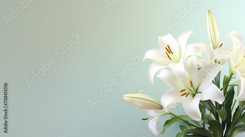 Top view of beautiful lilies blooming on plain background © Derby