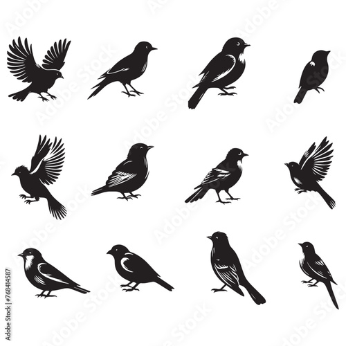 set of birds silhouettes on white