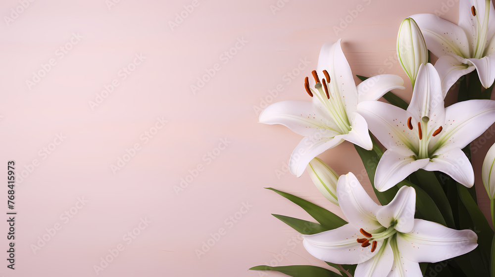 Fototapeta premium Lily flowers on pastel background