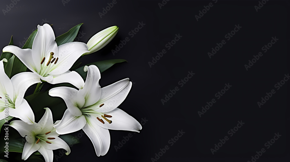 Lily flowers on pastel background