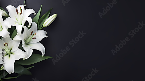Lily flowers on pastel background © Derby