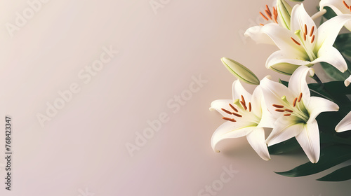 Beautiful lilies on the background