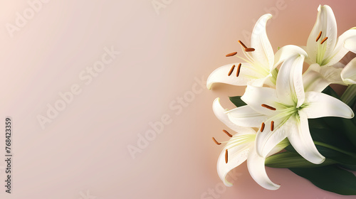 Beautiful lilies on the background