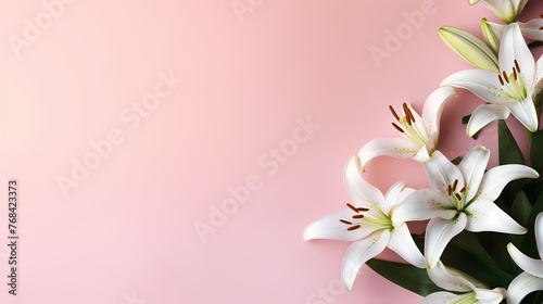 Beautiful lilies on the background
