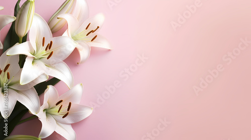 Beautiful lilies on the background