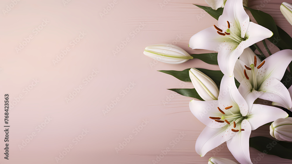 Fototapeta premium Beautiful lilies on the background