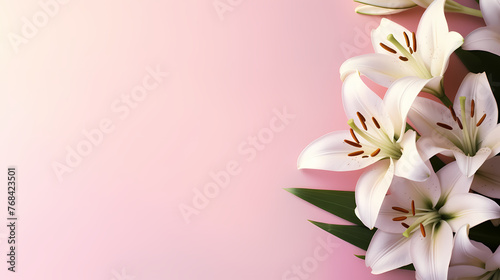 Beautiful lilies on the background