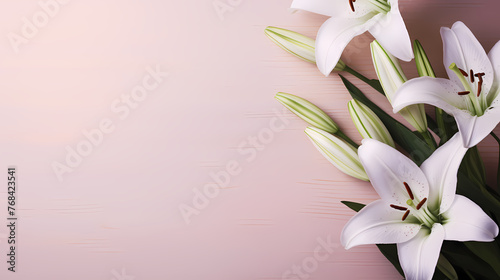 Beautiful lilies on the background