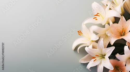 Beautiful lilies on the background