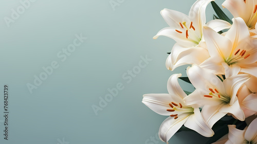 Beautiful lilies on the background