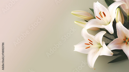 Beautiful lilies on the background