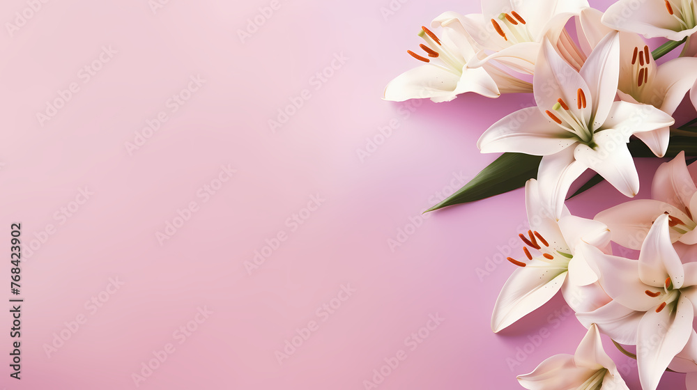 Fototapeta premium Beautiful lilies on the background