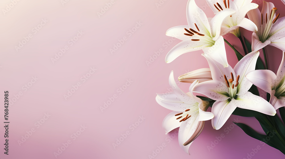 Beautiful lilies on the background