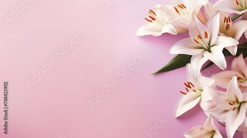 Beautiful lilies on the background