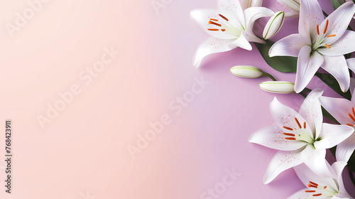 Beautiful lilies on the background