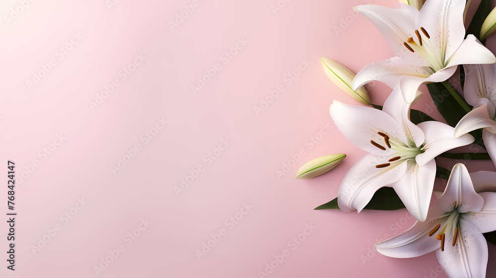 Beautiful lilies on the background